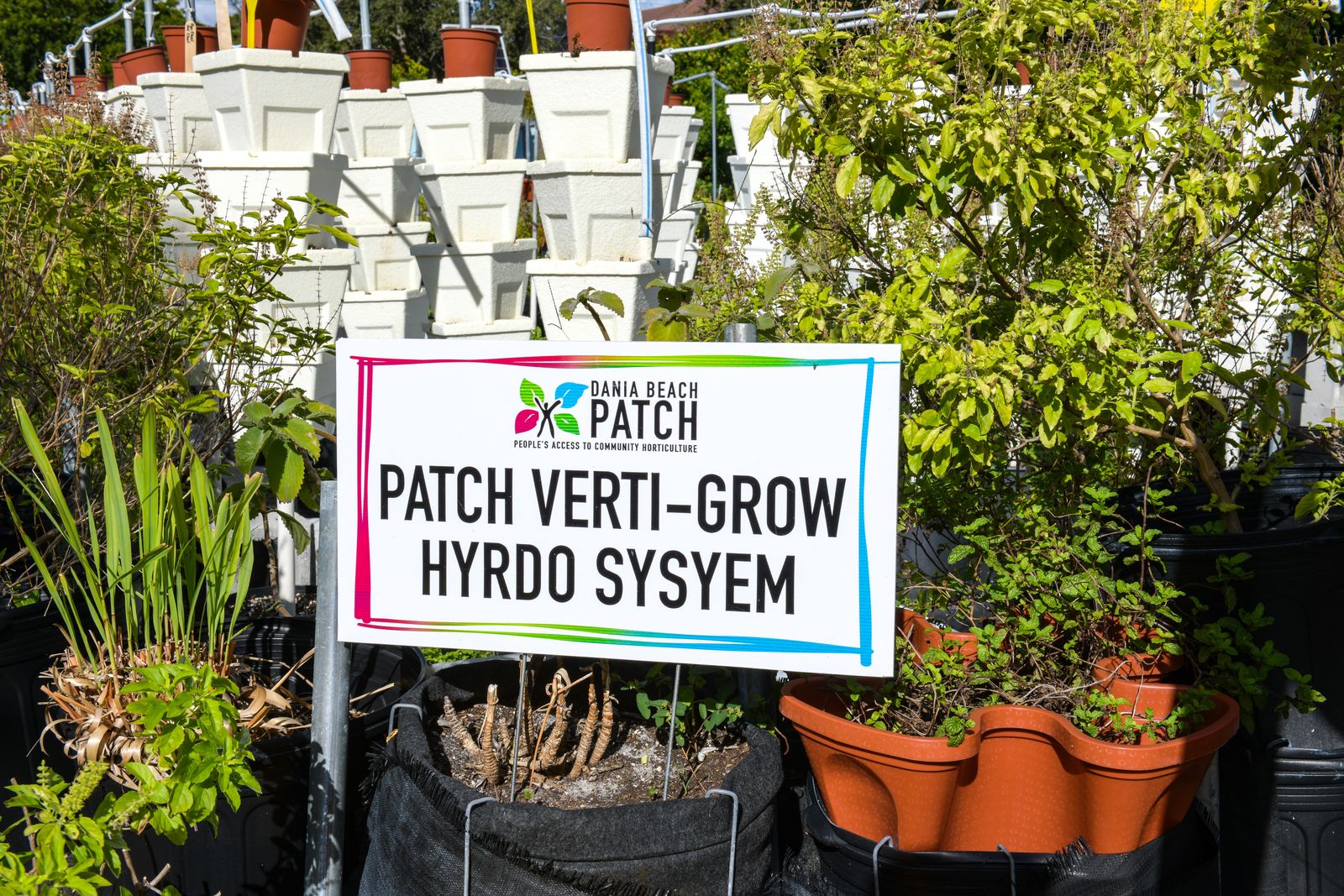 The PATCH Verti-Grow hydro system sign surrounded by herbs at the Dania Beach PATCH garden