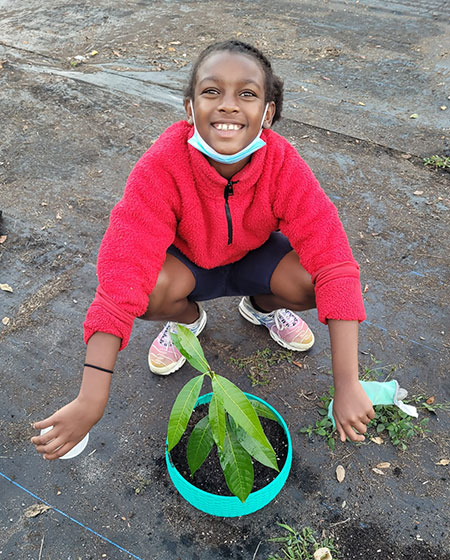 Student planting a mango seedling in the Earth 2 Table garden